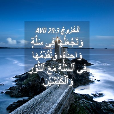 Picture 04 - اَلْخُرُوجُ 29:3 AVD - وَتَجْعَلُهَا فِي سَلَّةٍ - Bible Verse Picture