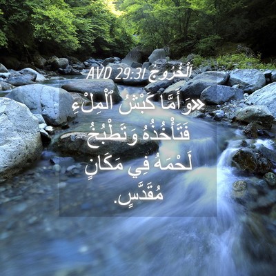 Picture 04 - اَلْخُرُوجُ 29:31 AVD - «وَأَمَّا كَبْشُ - Bible Verse Picture
