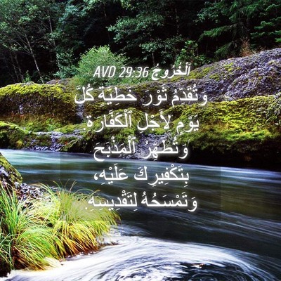 Picture 04 - اَلْخُرُوجُ 29:36 AVD - وَتُقَدِّمُ ثَوْرَ - Bible Verse Picture