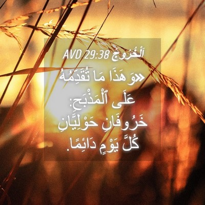 Picture 04 - اَلْخُرُوجُ 29:38 AVD - «وَهَذَا مَا تُقَدِّمُهُ - Bible Verse Picture