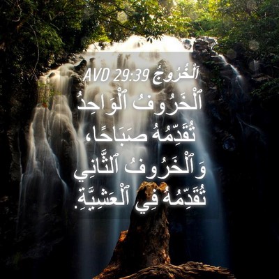 Picture 04 - اَلْخُرُوجُ 29:39 AVD - ٱلْخَرُوفُ ٱلْوَاحِدُ - Bible Verse Picture