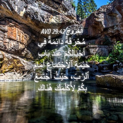 Picture 04 - اَلْخُرُوجُ 29:42 AVD - مُحْرَقَةٌ دَائِمَةٌ فِي - Bible Verse Picture