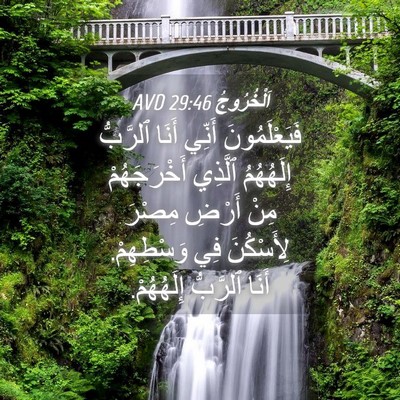 Picture 04 - اَلْخُرُوجُ 29:46 AVD - فَيَعْلَمُونَ أَنِّي - Bible Verse Picture