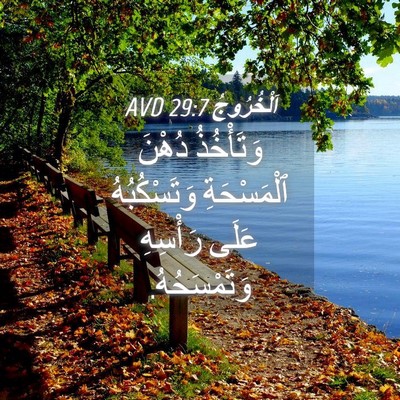 Picture 04 - اَلْخُرُوجُ 29:7 AVD - وَتَأْخُذُ دُهْنَ - Bible Verse Picture