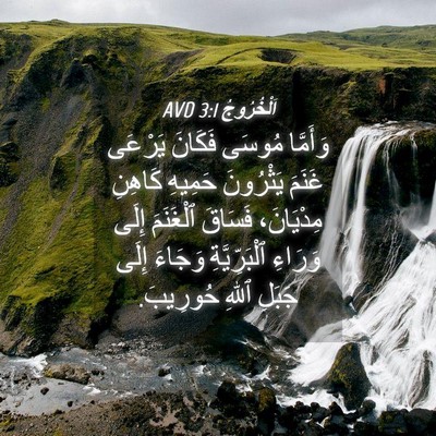 Picture 04 - اَلْخُرُوجُ 3:1 AVD - وَأَمَّا مُوسَى فَكَانَ - Bible Verse Picture
