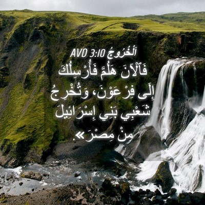 Picture 04 - اَلْخُرُوجُ 3:10 AVD - فَٱلْآنَ هَلُمَّ - Bible Verse Picture