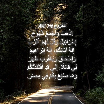 Picture 04 - اَلْخُرُوجُ 3:16 AVD - اِذْهَبْ وَٱجْمَعْ - Bible Verse Picture