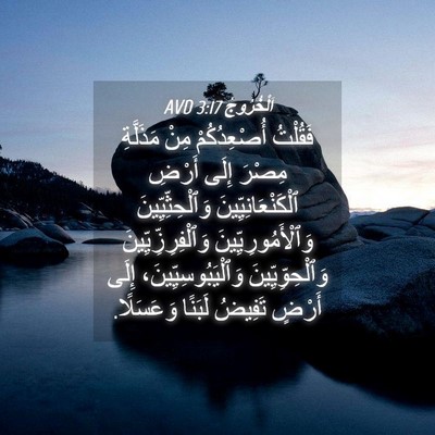 Picture 04 - اَلْخُرُوجُ 3:17 AVD - فَقُلْتُ أُصْعِدُكُمْ - Bible Verse Picture