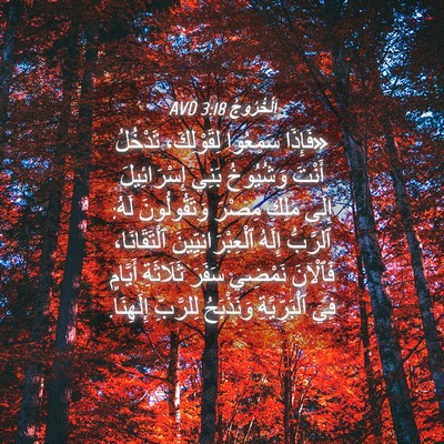 Picture 04 - اَلْخُرُوجُ 3:18 AVD - «فَإِذَا سَمِعُوا - Bible Verse Picture