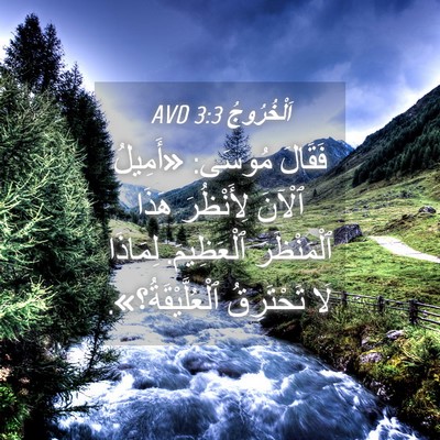 Picture 04 - اَلْخُرُوجُ 3:3 AVD - فَقَالَ مُوسَى: «أَمِيلُ - Bible Verse Picture