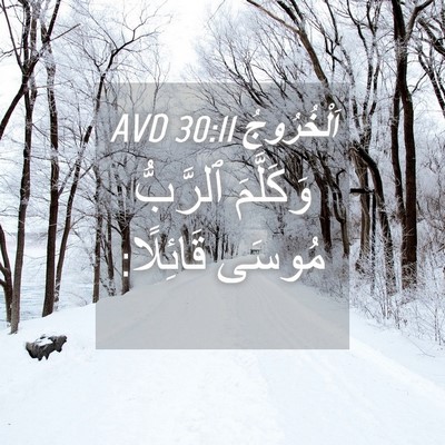 Picture 04 - اَلْخُرُوجُ 30:11 AVD - وَكَلَّمَ ٱلرَّبُّ مُوسَى - Bible Verse Picture