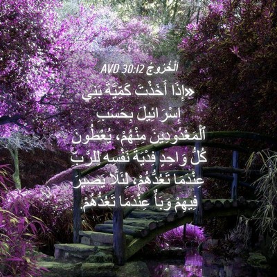 Picture 04 - اَلْخُرُوجُ 30:12 AVD - «إِذَا أَخَذْتَ - Bible Verse Picture