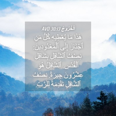 Picture 04 - اَلْخُرُوجُ 30:13 AVD - هَذَا مَا يُعْطِيهِ كُلُّ - Bible Verse Picture
