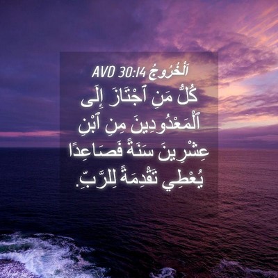 Picture 04 - اَلْخُرُوجُ 30:14 AVD - كُلُّ مَنِ ٱجْتَازَ إِلَى - Bible Verse Picture