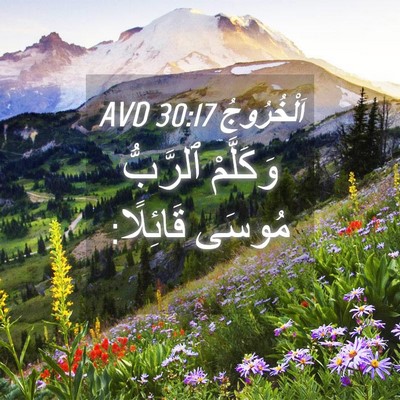 Picture 04 - اَلْخُرُوجُ 30:17 AVD - وَكَلَّمْ ٱلرَّبُّ مُوسَى - Bible Verse Picture