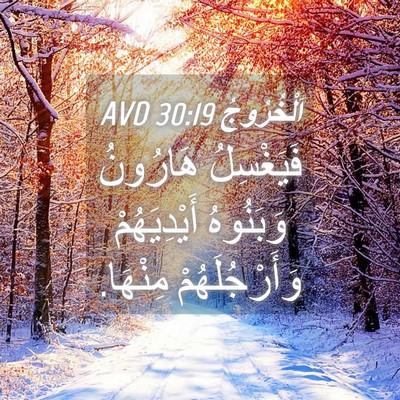 Picture 04 - اَلْخُرُوجُ 30:19 AVD - فَيَغْسِلُ هَارُونُ - Bible Verse Picture