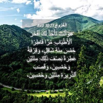 Picture 04 - اَلْخُرُوجُ 30:23 AVD - «وَأَنْتَ تَأْخُذُ لَكَ - Bible Verse Picture