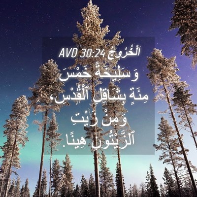 Picture 04 - اَلْخُرُوجُ 30:24 AVD - وَسَلِيخَةً خَمْسَ مِئَةٍ - Bible Verse Picture
