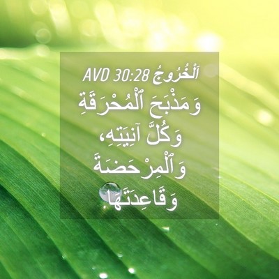 Picture 04 - اَلْخُرُوجُ 30:28 AVD - وَمَذْبَحَ ٱلْمُحْرَقَةِ - Bible Verse Picture
