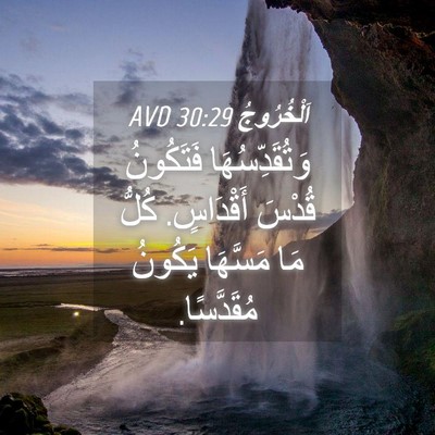 Picture 04 - اَلْخُرُوجُ 30:29 AVD - وَتُقَدِّسُهَا فَتَكُونُ - Bible Verse Picture