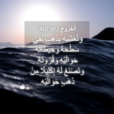 Picture 04 - اَلْخُرُوجُ 30:3 AVD - وَتُغَشِّيهِ بِذَهَبٍ - Bible Verse Picture