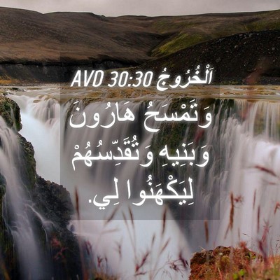 Picture 04 - اَلْخُرُوجُ 30:30 AVD - وَتَمْسَحُ هَارُونَ - Bible Verse Picture