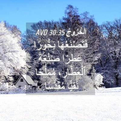 Picture 04 - اَلْخُرُوجُ 30:35 AVD - فَتَصْنَعُهَا بَخُورًا - Bible Verse Picture