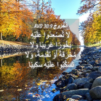 Picture 04 - اَلْخُرُوجُ 30:9 AVD - لَا تُصْعِدُوا عَلَيْهِ - Bible Verse Picture