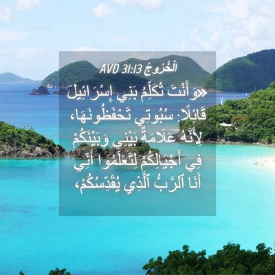 Picture 04 - اَلْخُرُوجُ 31:13 AVD - «وَأَنْتَ تُكَلِّمُ بَنِي - Bible Verse Picture