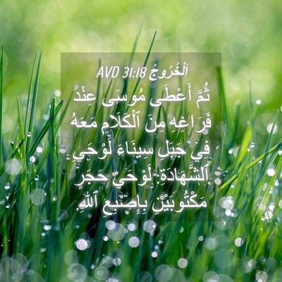 Picture 04 - اَلْخُرُوجُ 31:18 AVD - ثُمَّ أَعْطَى مُوسَى - Bible Verse Picture