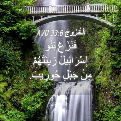 Picture 04 - اَلْخُرُوجُ 33:6 AVD - فَنَزَعَ بَنُو - Bible Verse Picture
