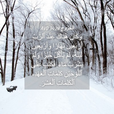 Picture 04 - اَلْخُرُوجُ 34:28 AVD - وَكَانَ هُنَاكَ عِنْدَ - Bible Verse Picture