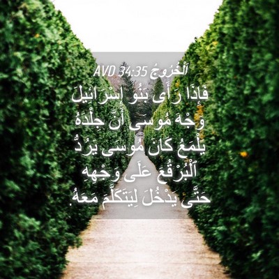 Picture 04 - اَلْخُرُوجُ 34:35 AVD - فَإِذَا رَأَى بَنُو - Bible Verse Picture