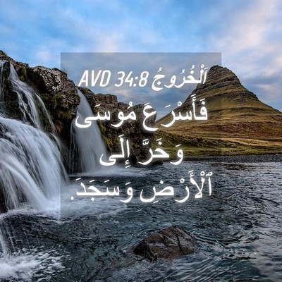 Picture 04 - اَلْخُرُوجُ 34:8 AVD - فَأَسْرَعَ مُوسَى وَخَرَّ - Bible Verse Picture