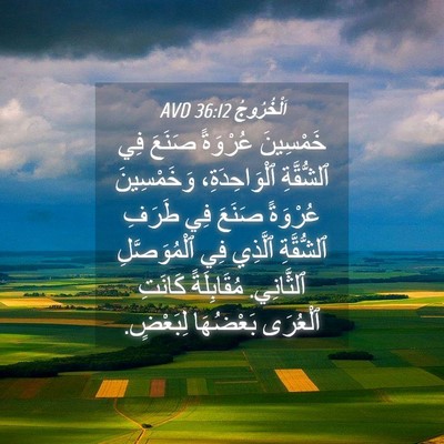 Picture 04 - اَلْخُرُوجُ 36:12 AVD - خَمْسِينَ عُرْوَةً صَنَعَ - Bible Verse Picture