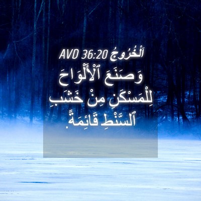 Picture 04 - اَلْخُرُوجُ 36:20 AVD - وَصَنَعَ ٱلْأَلْوَاحَ - Bible Verse Picture