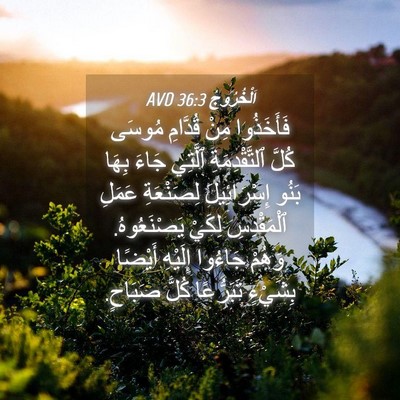 Picture 04 - اَلْخُرُوجُ 36:3 AVD - فَأَخَذُوا مِنْ قُدَّامِ - Bible Verse Picture