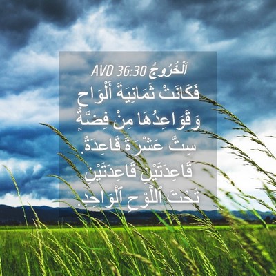 Picture 04 - اَلْخُرُوجُ 36:30 AVD - فَكَانَتْ ثَمَانِيَةَ - Bible Verse Picture