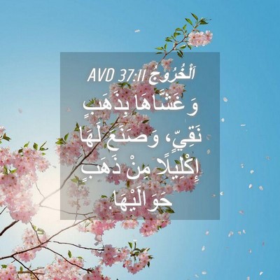 Picture 04 - اَلْخُرُوجُ 37:11 AVD - وَغَشَّاهَا بِذَهَبٍ - Bible Verse Picture