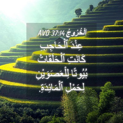 Picture 04 - اَلْخُرُوجُ 37:14 AVD - عِنْدَ ٱلْحَاجِبِ كَانَتِ - Bible Verse Picture