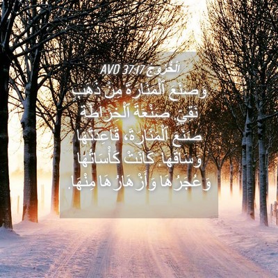 Picture 04 - اَلْخُرُوجُ 37:17 AVD - وَصَنَعَ ٱلْمَنَارَةَ - Bible Verse Picture