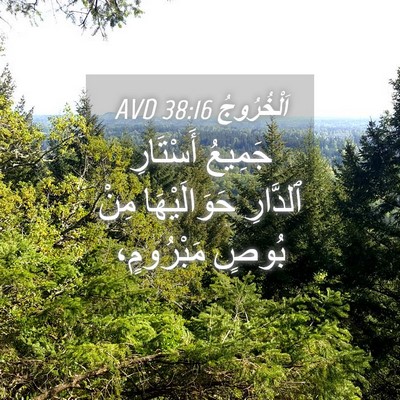Picture 04 - اَلْخُرُوجُ 38:16 AVD - جَمِيعُ أَسْتَارِ - Bible Verse Picture