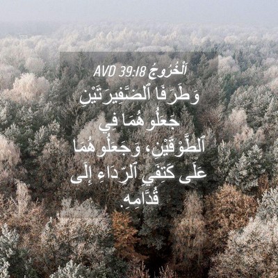 Picture 04 - اَلْخُرُوجُ 39:18 AVD - وَطَرَفَا - Bible Verse Picture
