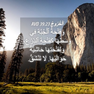 Picture 04 - اَلْخُرُوجُ 39:23 AVD - وَفَتْحَةُ ٱلْجُبَّةِ فِي - Bible Verse Picture