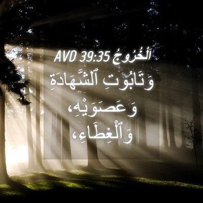 Picture 04 - اَلْخُرُوجُ 39:35 AVD - وَتَابُوتِ ٱلشَّهَادَةِ - Bible Verse Picture