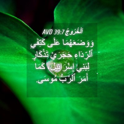 Picture 04 - اَلْخُرُوجُ 39:7 AVD - وَوَضَعَهُمَا عَلَى - Bible Verse Picture