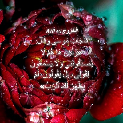Picture 04 - اَلْخُرُوجُ 4:1 AVD - فَأَجَابَ مُوسَى وَقَالَ: - Bible Verse Picture