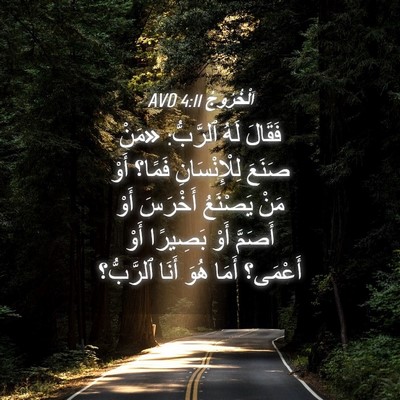 Picture 04 - اَلْخُرُوجُ 4:11 AVD - فَقَالَ لَهُ ٱلرَّبُّ: - Bible Verse Picture
