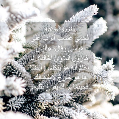 Picture 04 - اَلْخُرُوجُ 4:14 AVD - فَحَمِيَ غَضَبُ ٱلرَّبِّ - Bible Verse Picture