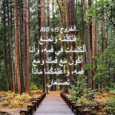 Picture 04 - اَلْخُرُوجُ 4:15 AVD - فَتُكَلِّمُهُ وَتَضَعُ - Bible Verse Picture
